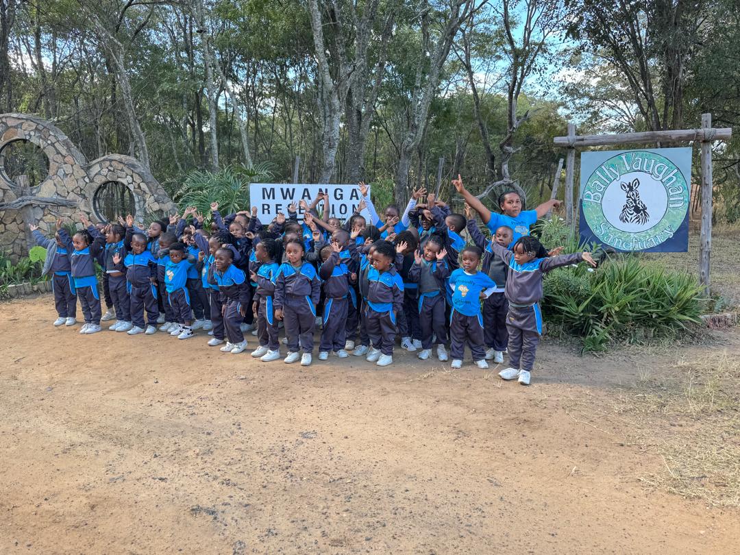 Harmony Junior School